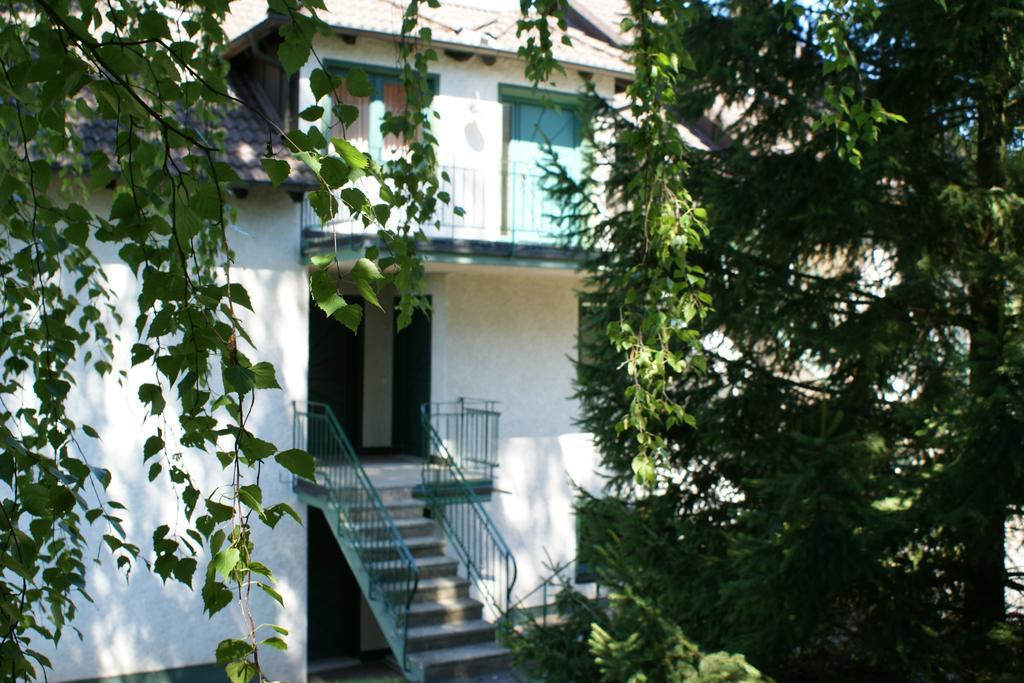 Waldhotel Stein Зельбиц Экстерьер фото